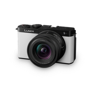 PANASONIC LUMIX DC-S9N