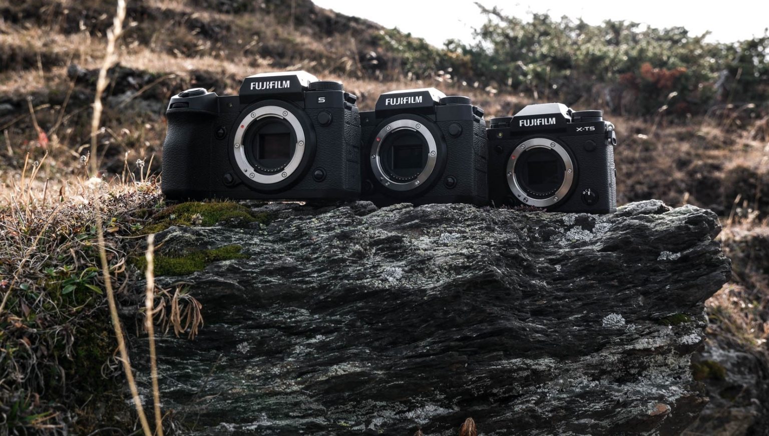 FUJIFILM X-T5 – Image 7