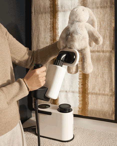 Laurastar Aura – Image 4