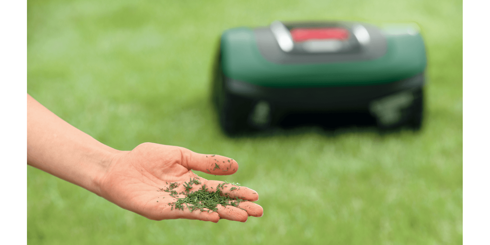 Bosch Indego XS 300 Tondeuse robot – Image 5