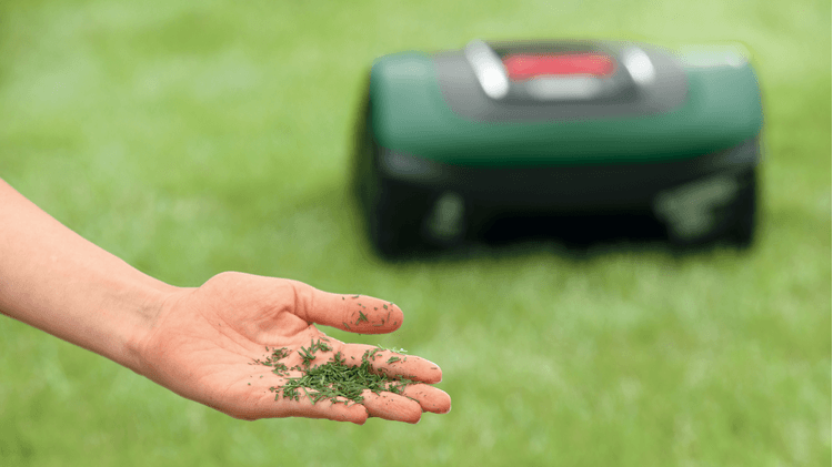 Bosch Indego S+ 500 CH Tondeuse robot – Image 6